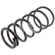 Пружина подвески XAS1086