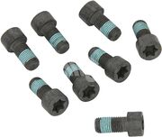 Болт маховика TZZ1027