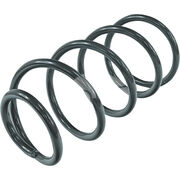 Пружина подвески XAS1191